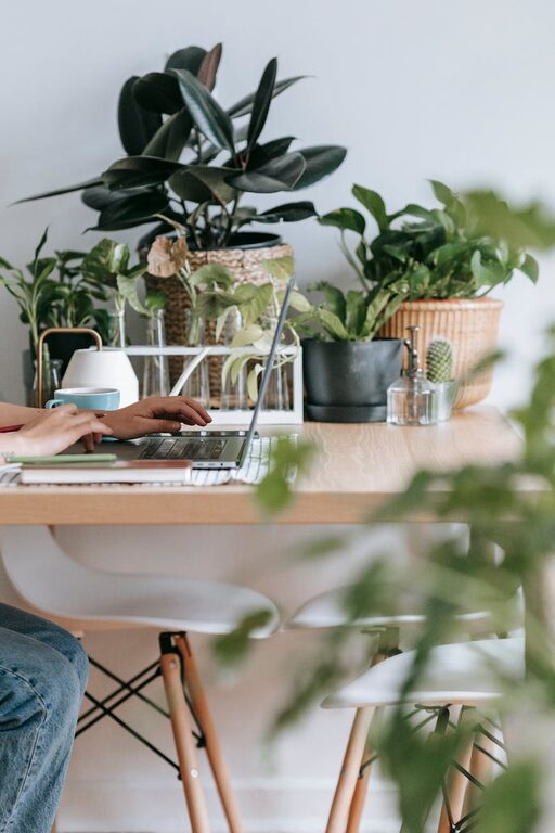 Tips for Creating a Cozy and Productive Home Office Environment